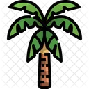 Cocotero Arbol Palmera Icono