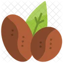 Beans Leaf Seed Icon