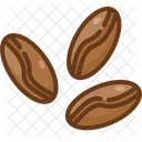 Coffee Bean  Icon