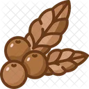 Coffee Beans  Icon