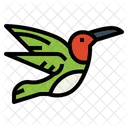 Colibrí  Icono