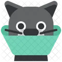 Collar Healthy Cat Icon