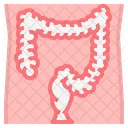 Colon Anatomy Digestive Icon