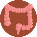 Colon  Icon