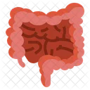 Colon  Icon