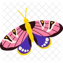 Butterfly Insect Wings Icon