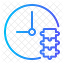 Columna Vertebral Fisioterapia Quiropractica Icono