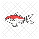 Comet goldfish  Icon