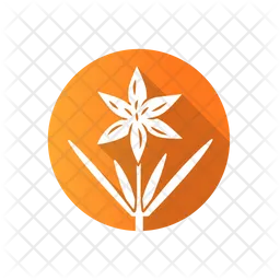 Common Star Lily  Icon