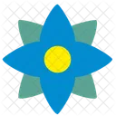 Complex flower  Icon