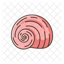 Concha espiral  Icono