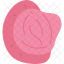 Condom  Icon