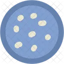 Cookies Biscuits Bakery Icon