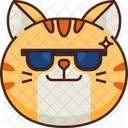 Cool Emoticon Cat Icon