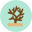 Coral  Icon