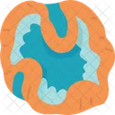 Coral  Icon