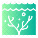 Coral Reef  Icon