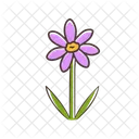 Coreopsis  Icon