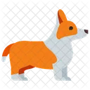 Corgi  アイコン