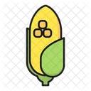 Corn  Icon