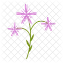 Wildflowers Flowers Plant Icon