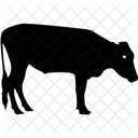 Buffalo Cattle Farm Animal Icon