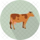 Cow  Icon