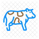 Cow  Icon