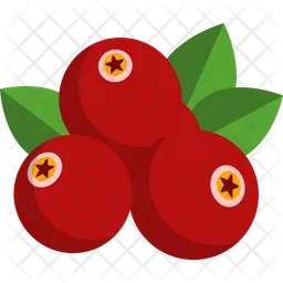 Cranberry  Icon