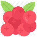 Cranberry  Icon