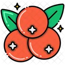 Cranberry  Icon