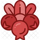 Cranberry  Icon