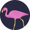 Crane Bird  Icon