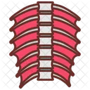 Cranial Dura Human Cranial Cranial Frame 아이콘