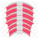 Cranial Dura Human Cranial Cranial Frame 아이콘