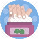 Beauty Cream Lotion Icon