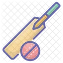 Bat Ball Cricket Equipment Icon