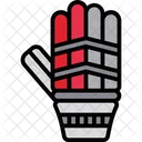 Cricket Gloves  Icon