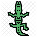 Crocodile  Icon