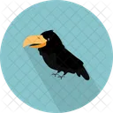 Crow  Icon