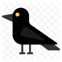 Crow  Icon