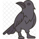 Crow  Icon