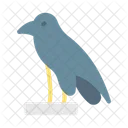 Crow Bird Culture Icon