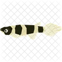 Crown killifish  Icon