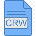 Crw Archivo Formato Icono