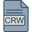 Crw Archivo Formato Icono