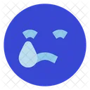 Crying  Icon