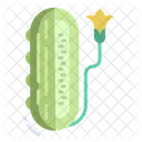 Cucumber  Icon