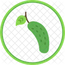 Cucumber  Icon