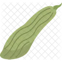 Cucumber  Icon